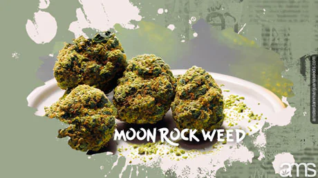 moon rock weed a delicacy for gourmands