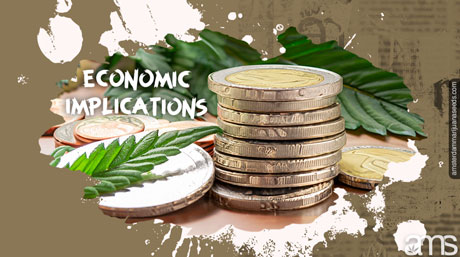 economic implications