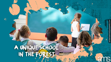 eco-education unique school in the forest