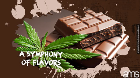 cannabis infused Swiss chocolate