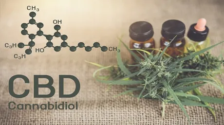 CBD oil 15553510692