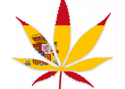 cannabis spain