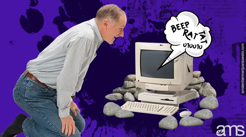 Imagen de Marihuana AMS6