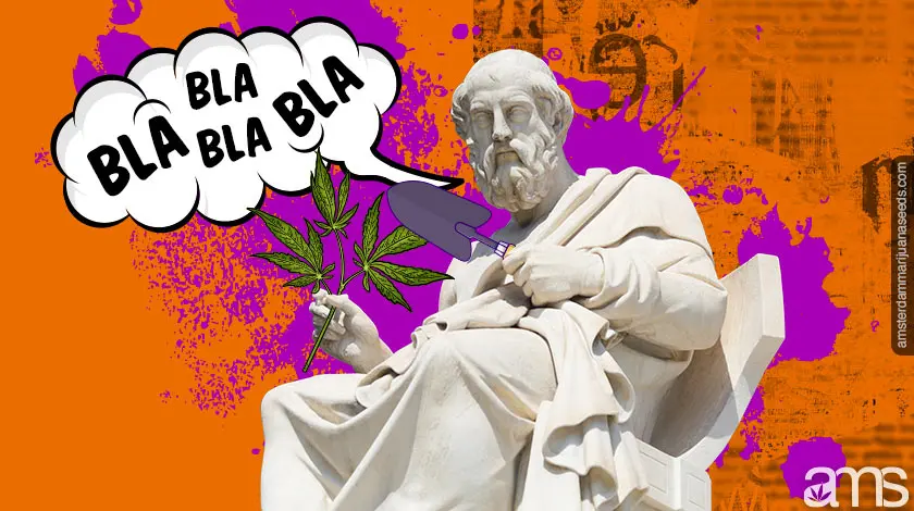 Imagen de Marihuana AMS9