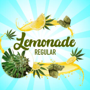 Lemonade Regular Marijuana Seeds